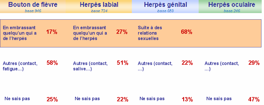 herpes-virus-meconnu