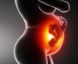 grossesse herpes genital enceinte